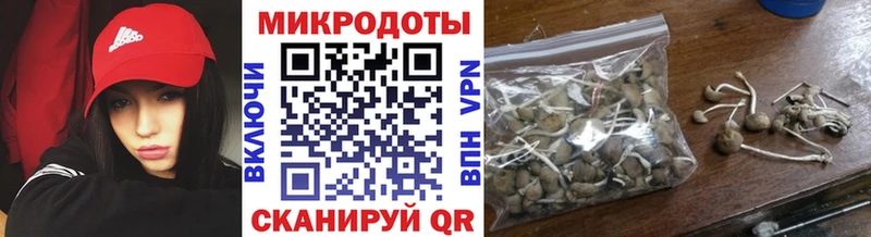 Галлюциногенные грибы Psilocybe что такое наркотик Нурлат