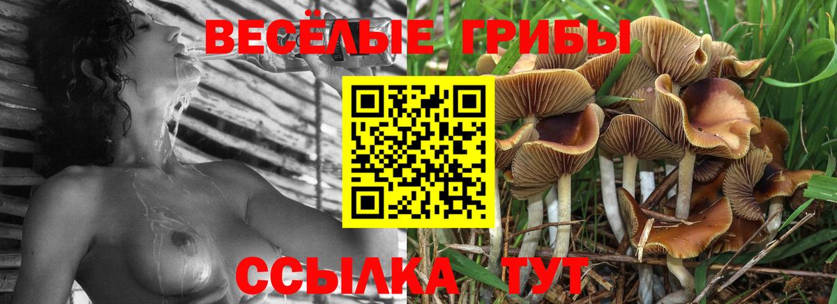 Нурлат  Галлюциногенные грибы MAGIC MUSHROOMS  Вход с VPN  Псилоцибиновые грибы GOLDEN TEACHER 