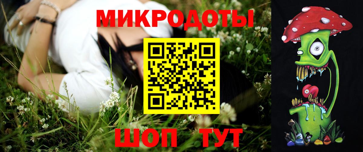 Псилоцибиновые грибы Psilocybe Нурлат